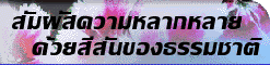 pic_home/b2.gif